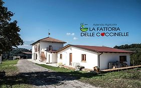 La Fattoria delle Coccinelle